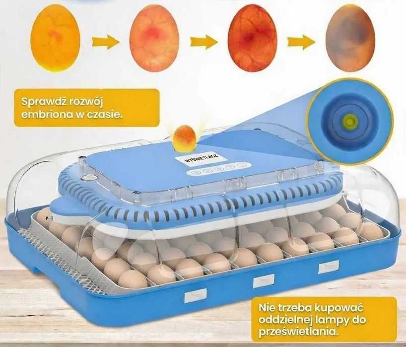 Inkubator do jaj automatyczny z pompą wilgotności OVOstart 70
