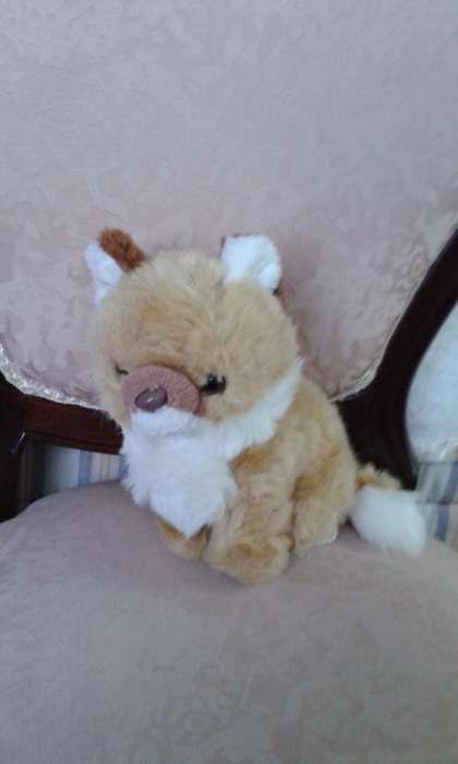 Bonecos de Peluche423261684315596803