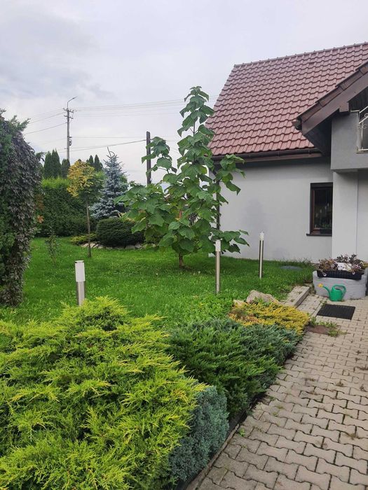 Dom do wynajęcia 200m2, Kozy ul. Bielska 37