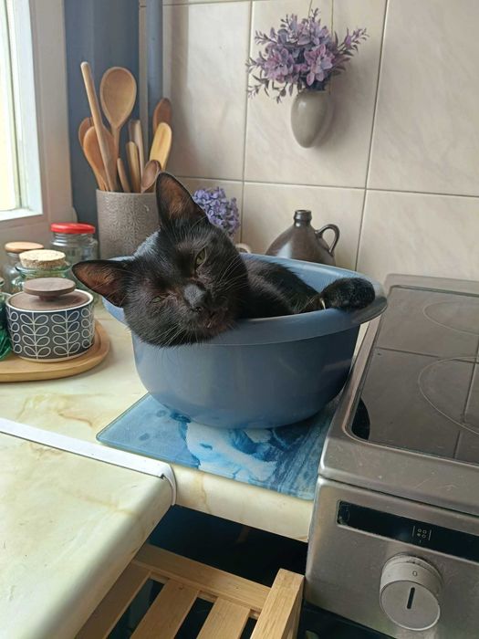 Sigma – chłopak na opak, który kocha całym sercem!