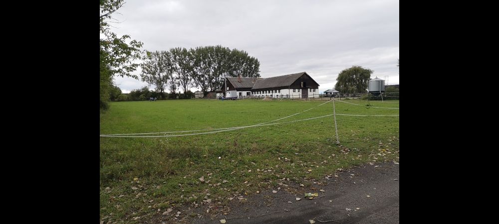 Stajnia, gospodarstwo rolne , 2,6ha