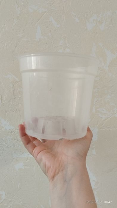 Прозрачные горшки для орхидей