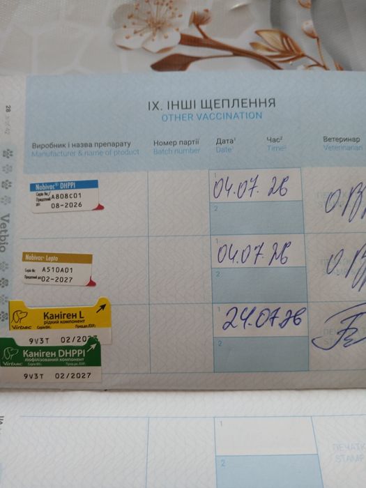 Продаються лабрадорчики
