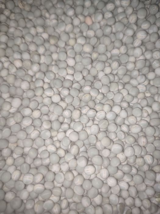 Насіння зеленого гороху зекон