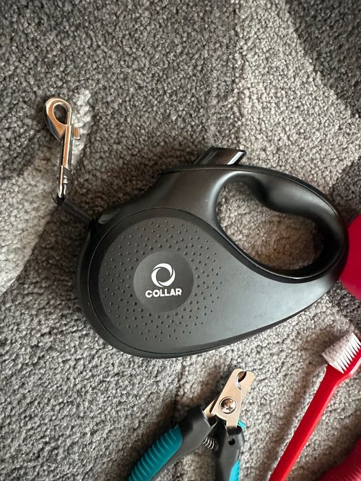 Сумка для собак, лежанка , поводок )