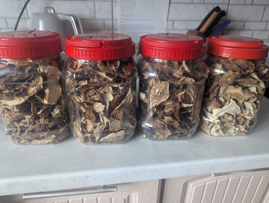 Продаються білі гриби