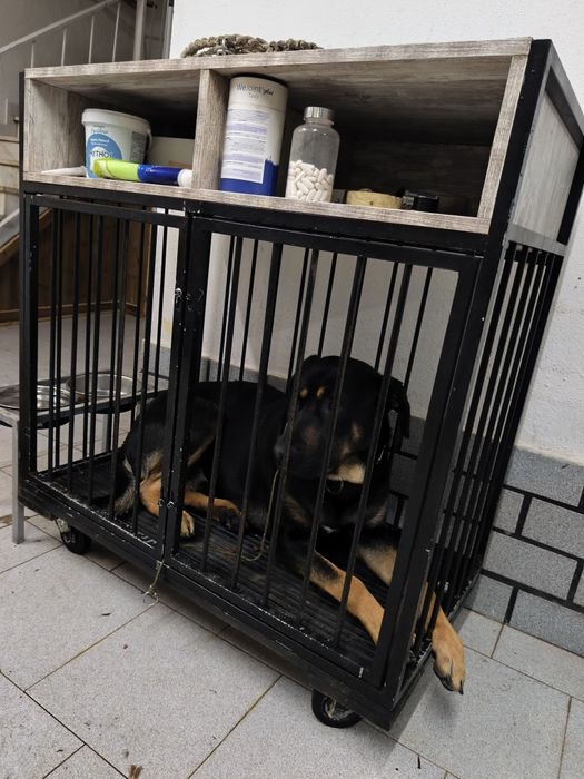 gaiola para cão descansar