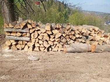 Metry bukowe 300 zł za metr