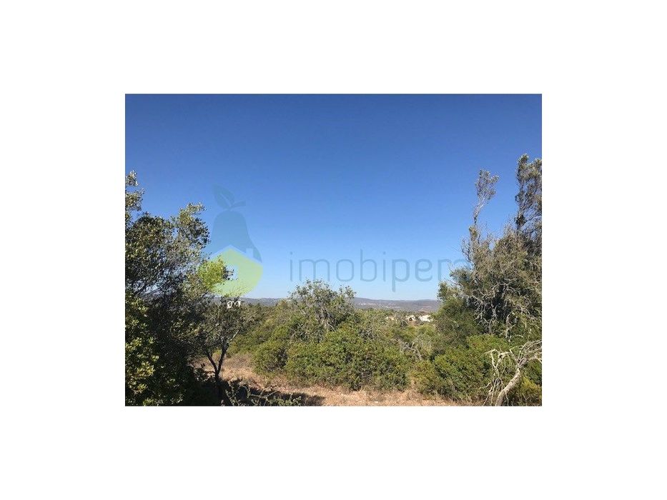 Terreno Rústico Electricidade Junto E Vista Ampla