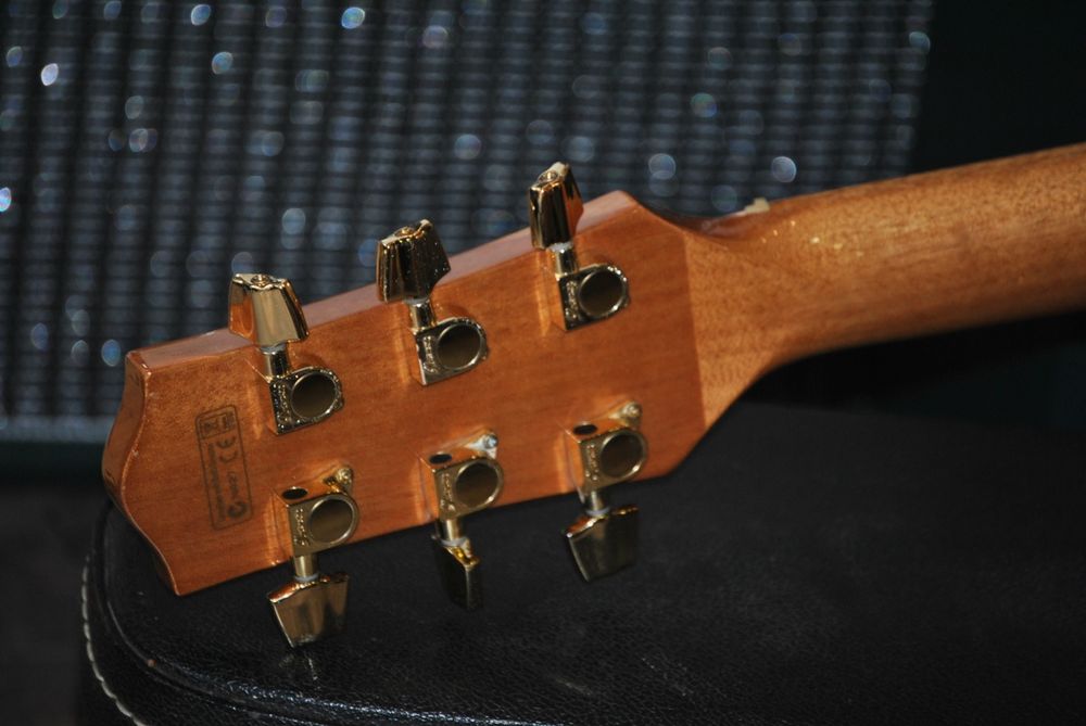 Ibanez EW35ABE Exotic Wood (Como nova)