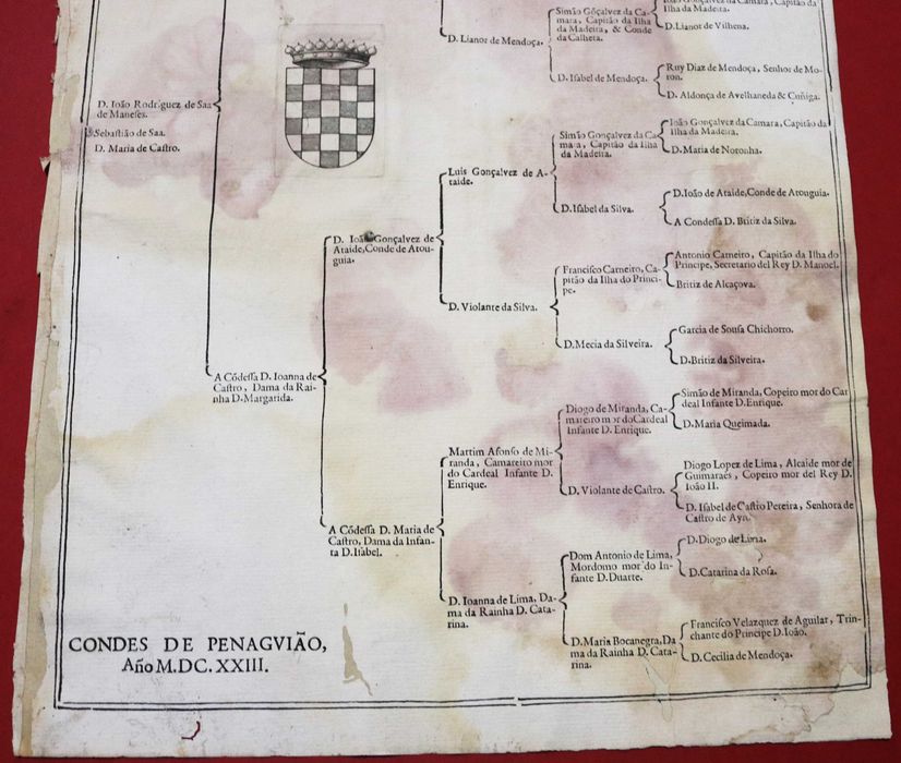 Os SÁ, CONDES DE PENAGUIÃO árvore de costados, 1623