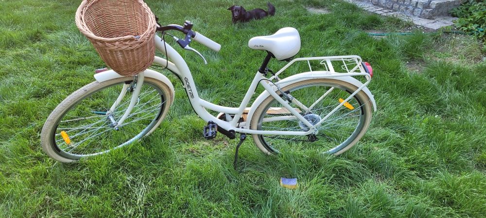 Goetze Mood 28 " Alu miejski rower damski
Ocena:
95% of100
4