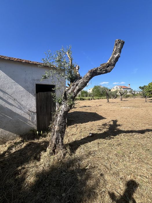 Lote de terreno super bem localizado a bom preço