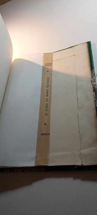 O Livro da Minha Saudade - Alfredo Pimenta |Edição especial, 1ª edição