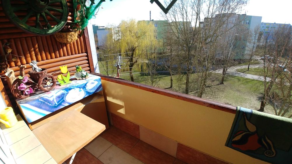 Mieszkanie do wynajecia