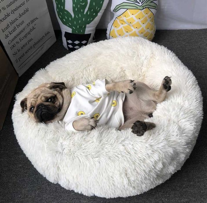 Лежанка ТОП! Об'ємна М'яка Тепла Бежевий котик собачка до9 кг. д.55см