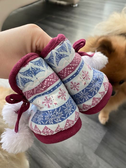 Disney Frozen Kraina Lodu 20 buciki wkładka 12,5 cm niemowlęce kapcie