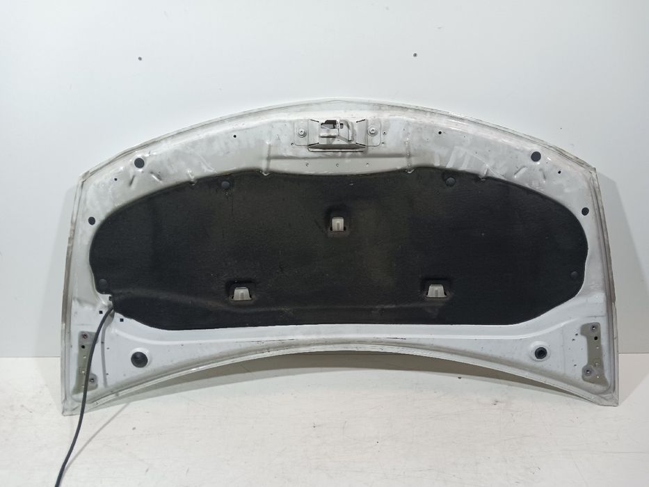 Capot RENAULT Clio III (BR0/1, CR0/1)