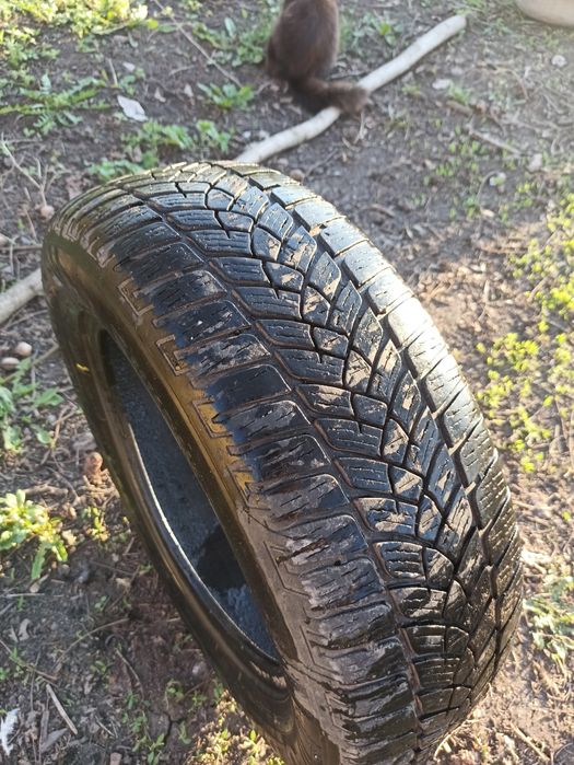 Шины 3000комплект