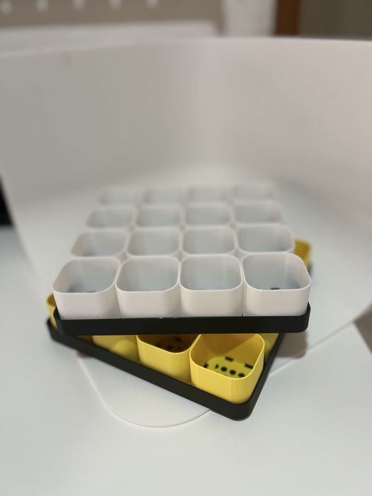 Germinacao de Sementes