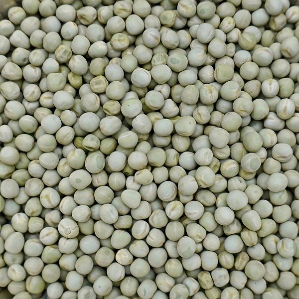 5kg Groch żółty ziarno karma pokarm dla gryzoni gołębi kur