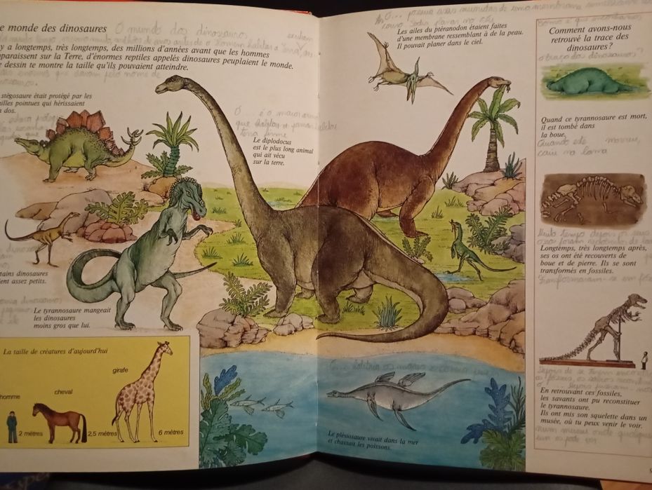 Livro " Partons à la découverte du passé"