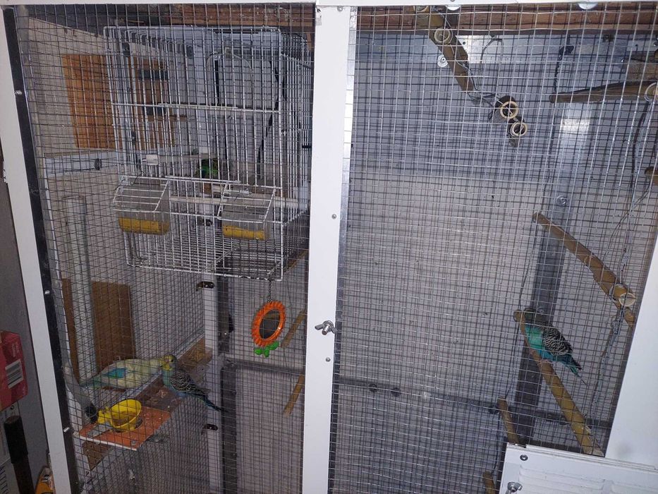 Gaiola para pássaros