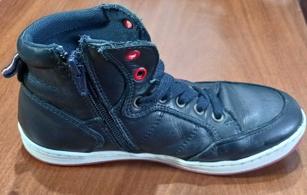 Ténis Lion of Porches n°33