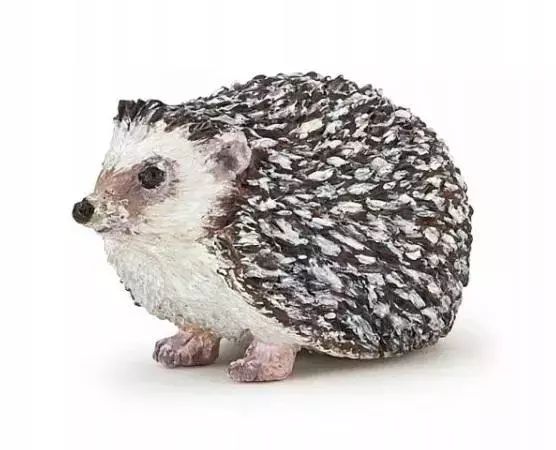 Jeż. Papo. Nowy Produkt