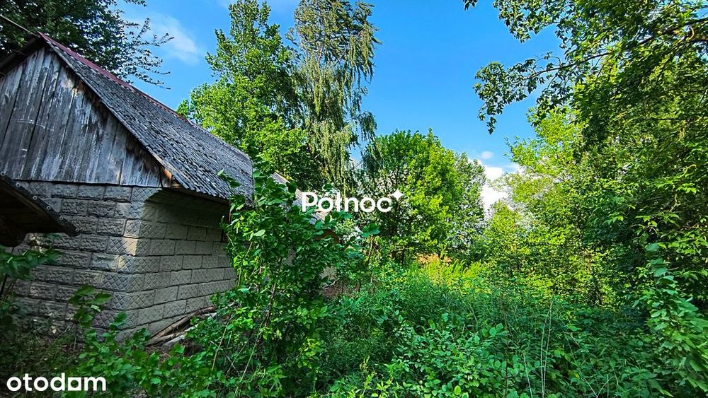 Siedlisko z sadem - Pojelce gm. Biała Podlaska - Widok 3