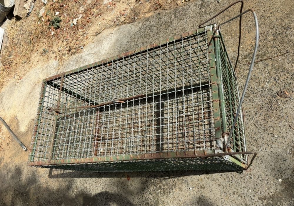 Gaiola armadilha