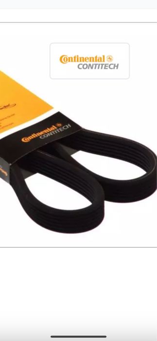 Continental pasek wielorowkowy 6DPK1195 AUDI A3 1.8T 1.9