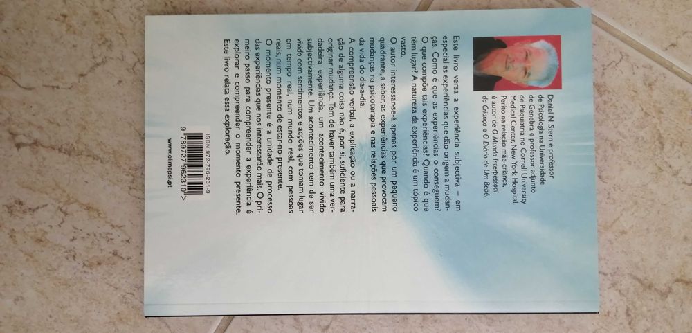 O Momento Presente - Daniel N. Stern