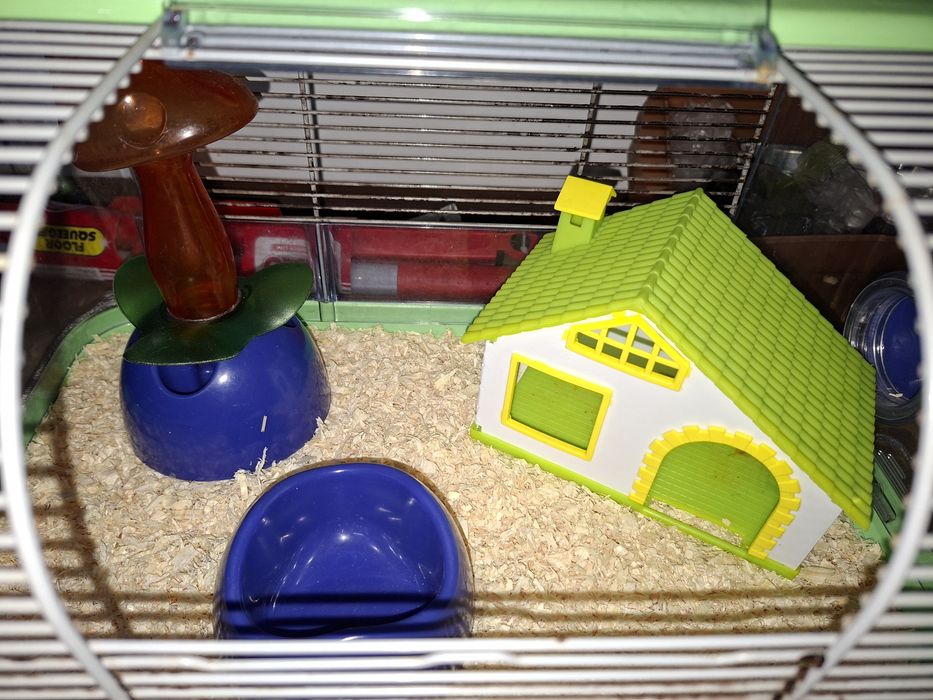Gaiolas hamsters