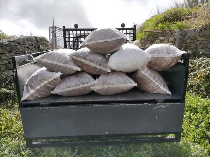 Sacas terra de toco de pinheiro sem misturas para suas flores