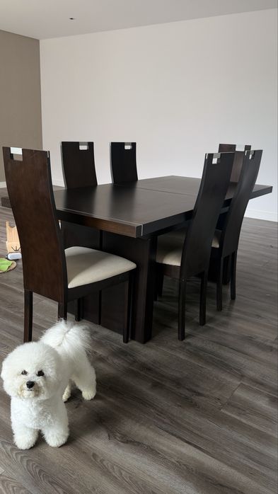 uma mesa dobrável e seis cadeiras