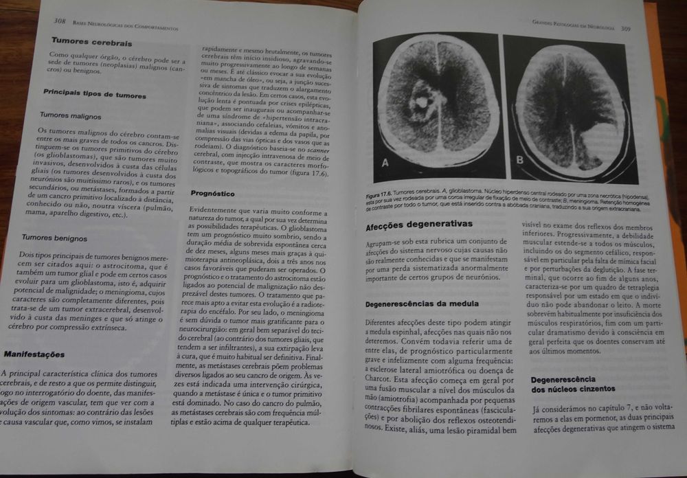 Bases Neurológicas dos Comportamentos