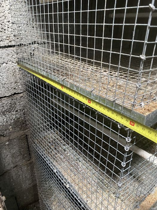 Torre de 5 viveiros criação