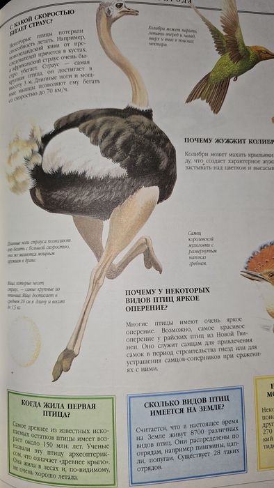 Енциклопедія 1001 питання та відповідь