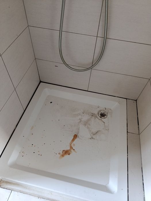 Usługi sprzątające