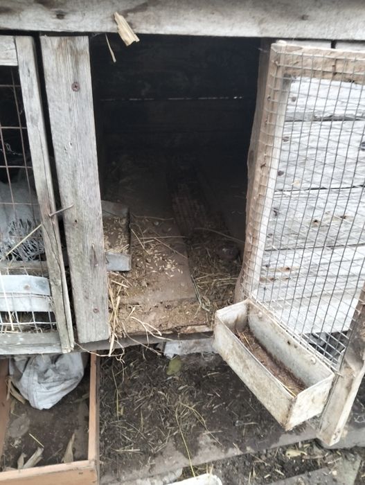 Продам клетки для кроликов б.у.