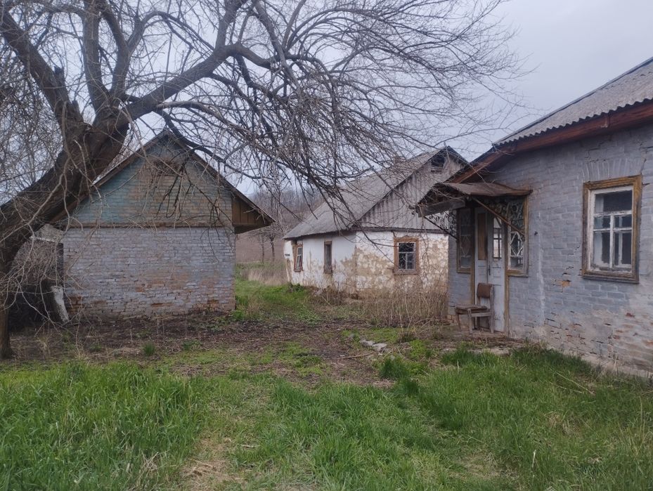 Продаж будинку під реконструкцію   з великою земельною ділянкою в с. Балаклея