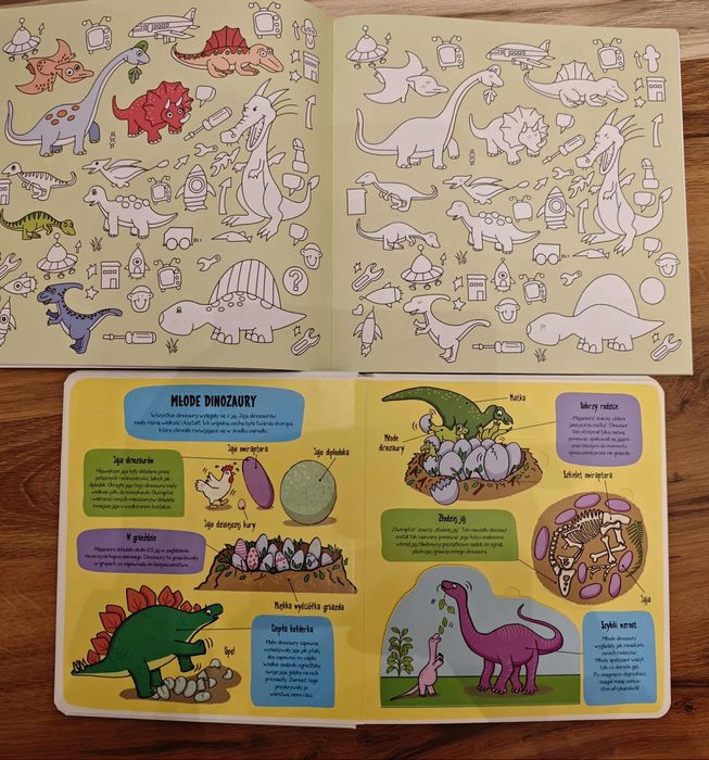 Książka i malowanka o dinozaurach