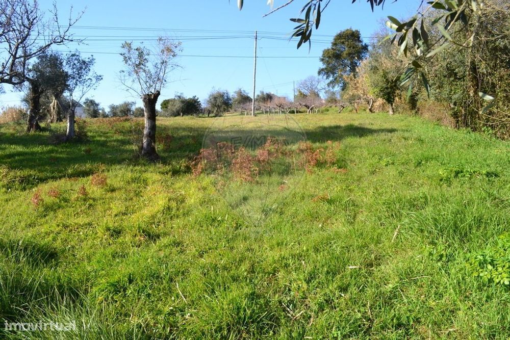 Terreno  para venda — Nossa Senhora Do Pranto, Santarém