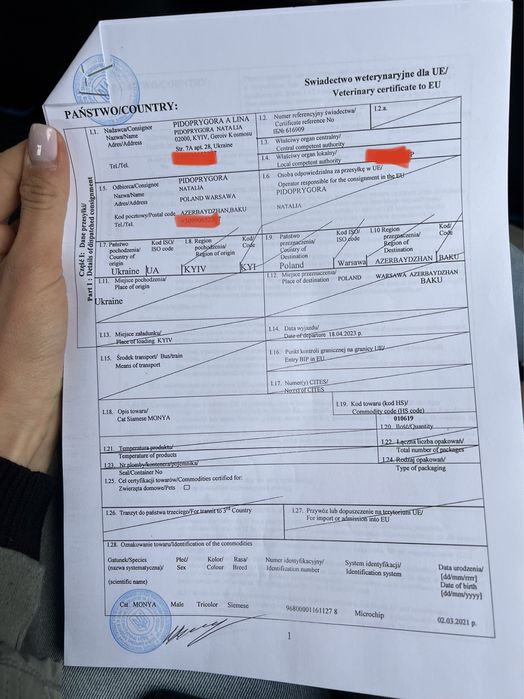 Ветеринарные документы для выезда вашего питомца заграницу