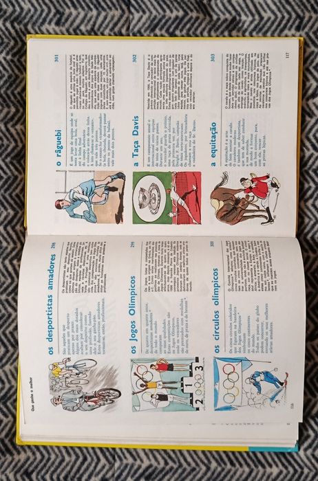 Livro Ilustrado  O QUE É ? ( palavras explicadas )