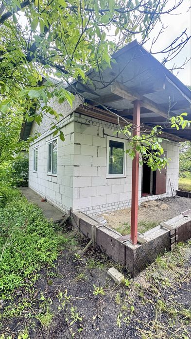 Фото ділянки