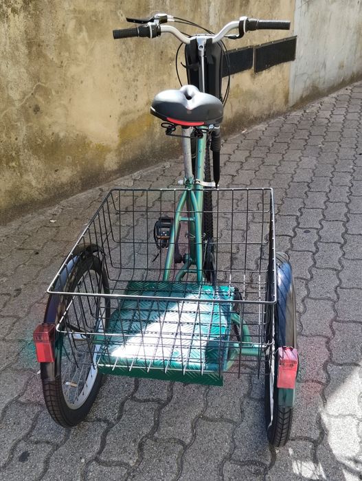 Triciclo adulto Terra