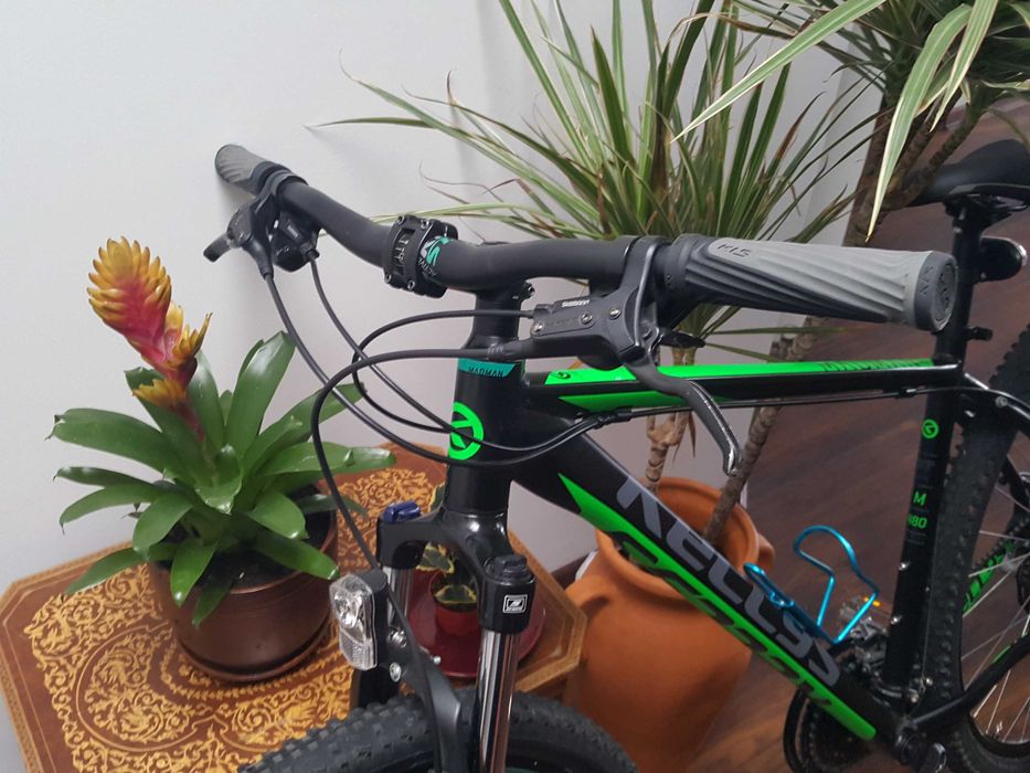 Kellys Madman 50 29"