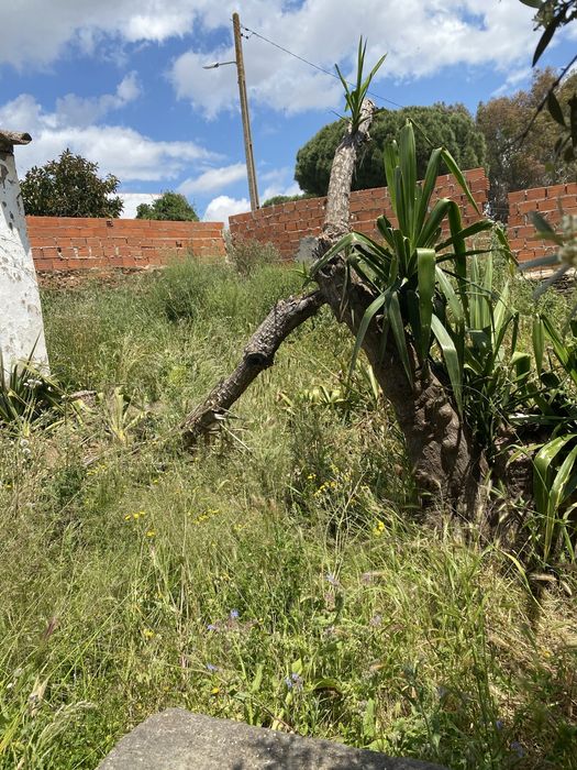 Casa centro historico de Mourão com vista para o castelo.